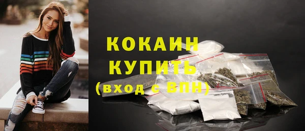 спиды Новозыбков