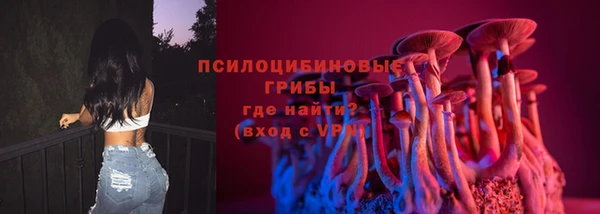 прущие крисы Алексин