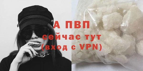 спиды Новозыбков