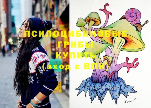 спиды Новозыбков