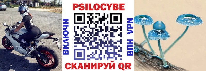Галлюциногенные грибы Psilocybe  Анива 